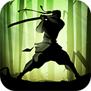 Shadow Fight 2